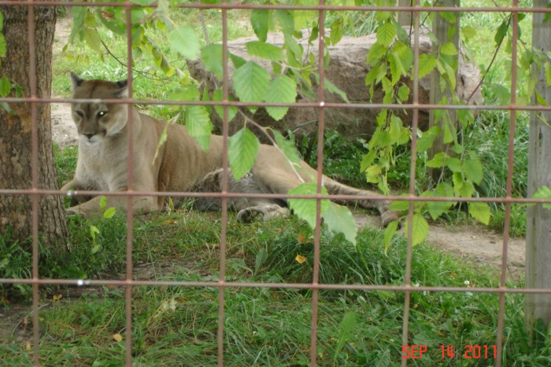 dsc03237.jpg