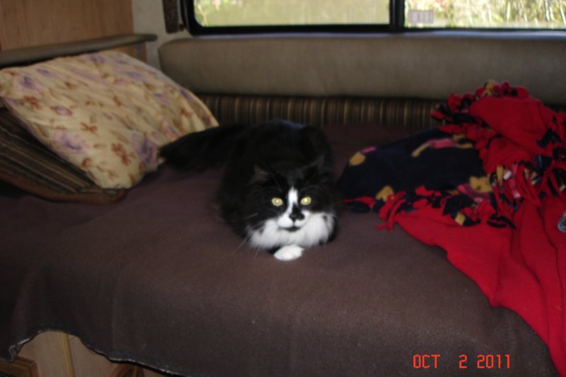 dsc03280.jpg