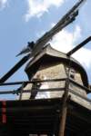 dsc02127_small.jpg