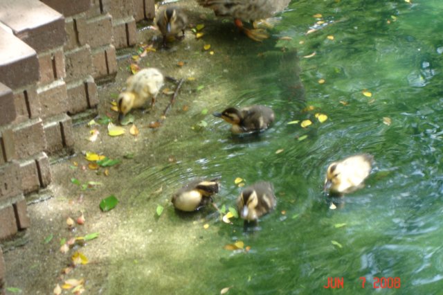 dsc01644.jpg