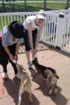 dsc01666_small.jpg