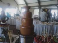 chocolatefountainiwouldlovetohaveatmywedding_small.jpg