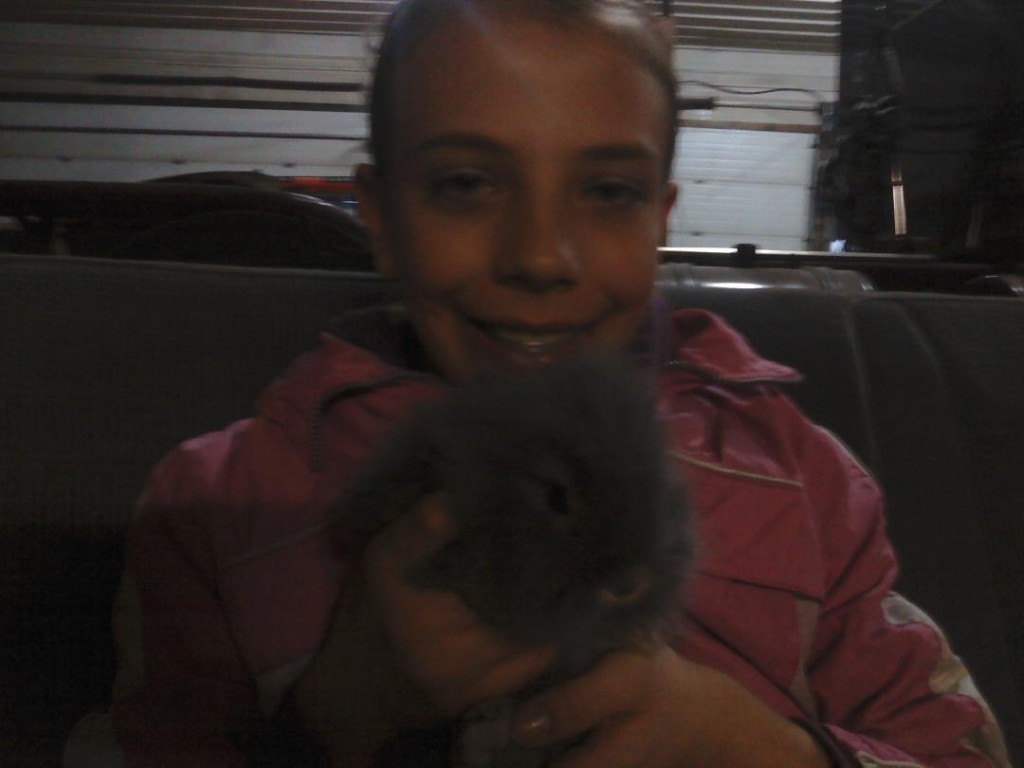 MolitorBunny